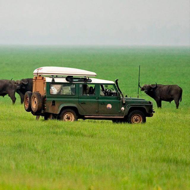 Autohome Dachzelt - Roof Top Tents safari